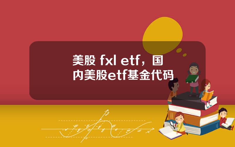 美股 fxl etf，国内美股etf基金代码